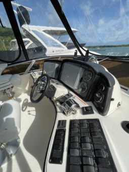 
										SEA RAY SEDAN BRIDGE 44 full									