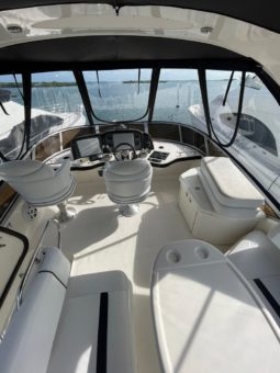 
										SEA RAY SEDAN BRIDGE 44 full									