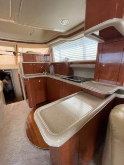 
										SEA RAY SEDAN BRIDGE 48 full									