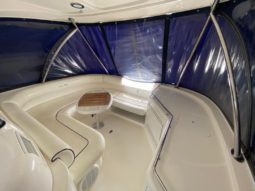 
										SEA RAY SEDAN BRIDGE 55 full									