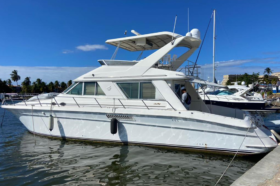 SEA RAY 55