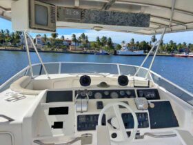 SEA RAY 55