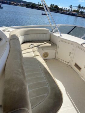 SEA RAY 55