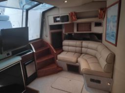 
										SEA RAY SPORT CRUISERS 46 full									