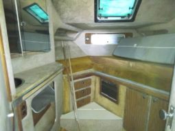 
										SEA RAY SPORTFISHERMAN CONVERTIBLE 36 full									