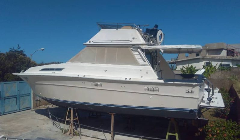 SEA RAY SPORTFISHERMAN CONVERTIBLE 36, VENTA DE SEA RAY SPORTFISHERMAN CONVERTIBLE 36, SEA RAY SPORTFISHERMAN CONVERTIBLE 36 DE LA GUAIRA