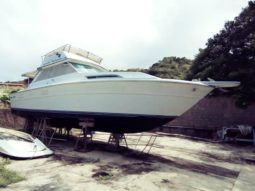 
										SEA RAY SPORTFISHERMAN CONVERTIBLE 36 full									