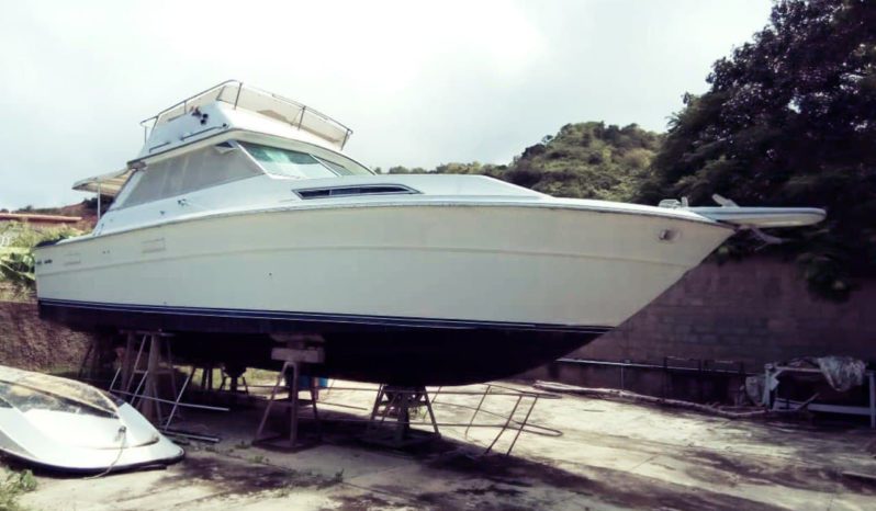 
								SEA RAY SPORTFISHERMAN CONVERTIBLE 36 full									