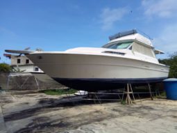 
										SEA RAY SPORTFISHERMAN CONVERTIBLE 36 full									