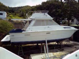 
										SEA RAY SPORTFISHERMAN CONVERTIBLE 36 full									