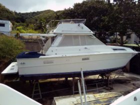 SEA RAY SPORTFISHERMAN CONVERTIBLE 36