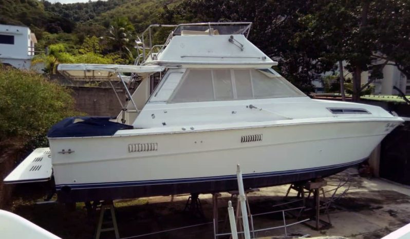 
								SEA RAY SPORTFISHERMAN CONVERTIBLE 36 full									