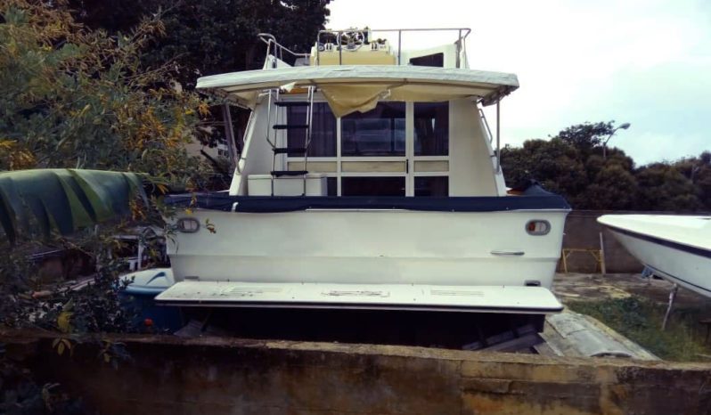 
								SEA RAY SPORTFISHERMAN CONVERTIBLE 36 full									