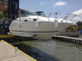 SEA RAY SUNDANCER 24