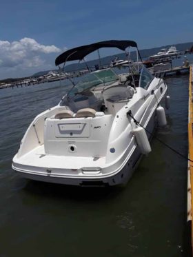 SEA RAY SUNDANCER 24