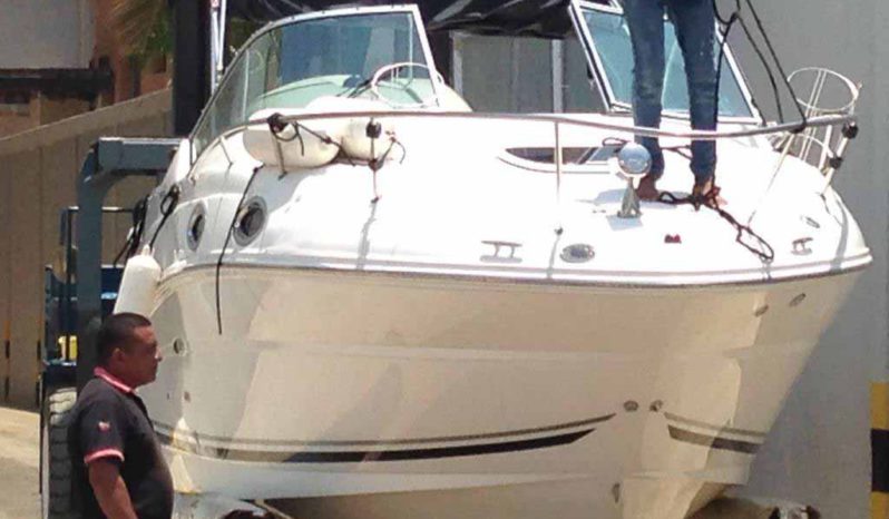 
								SEA RAY SUNDANCER 24 full									