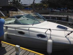 
										SEA RAY SUNDANCER 24 full									