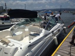 
										SEA RAY SUNDANCER 24 full									