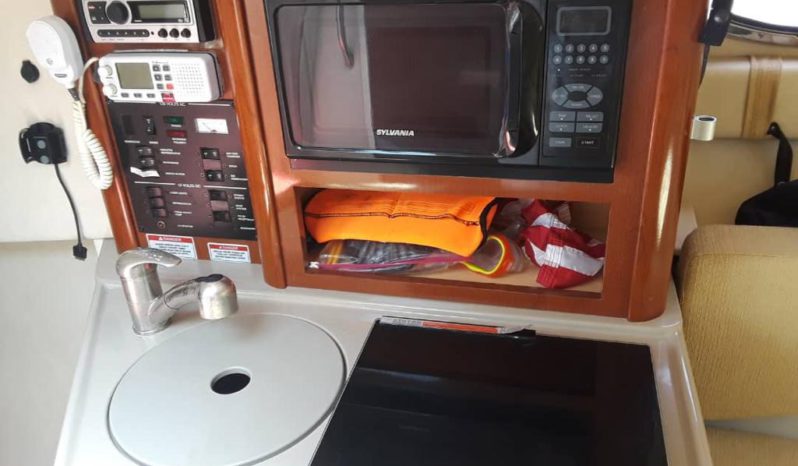 
								SEA RAY SUNDANCER 24 full									