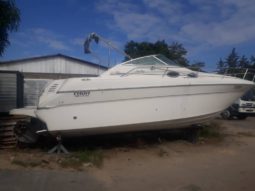 
										SEA RAY SUNDANCER 27 full									