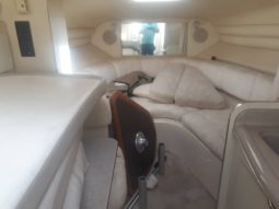 
										SEA RAY SUNDANCER 27 full									