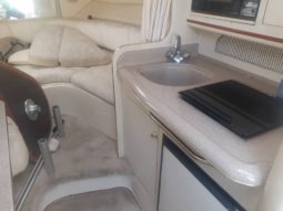 
										SEA RAY SUNDANCER 27 full									