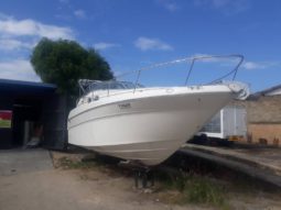 
										SEA RAY SUNDANCER 27 full									