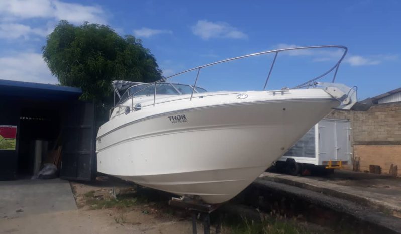 
								SEA RAY SUNDANCER 27 full									