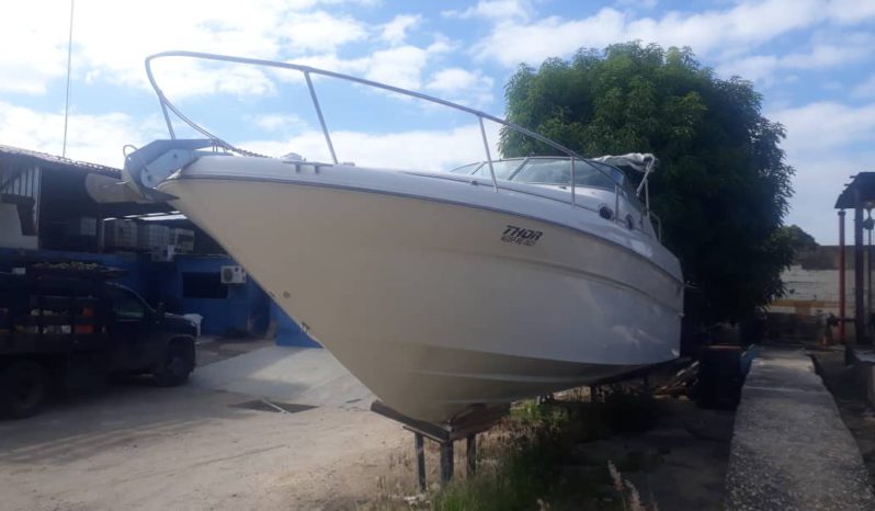 
								SEA RAY SUNDANCER 27 full									