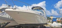 
										SEA RAY SUNDANCER 28 full									