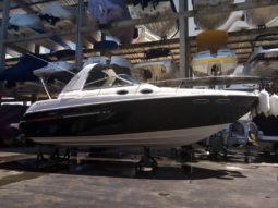 
										SEA RAY SUNDANCER 29 full									