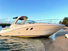 SEA RAY SUNDANCER 310 33