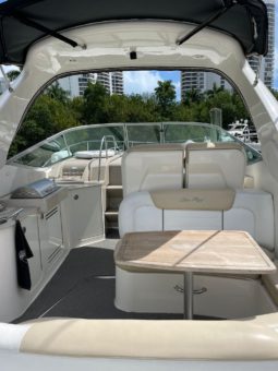 
										SEA RAY SUNDANCER 310 33 full									