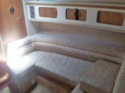 
										SEA RAY SUNDANCER 33 full									