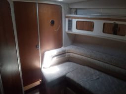 
										SEA RAY SUNDANCER 33 full									