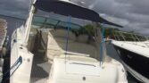 SEA RAY SUNDANCER 34, VENTA DE SEA RAY SUNDANCER 34, SEA RAY SUNDANCER 34 DE TUCACAS