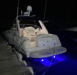 
										SEA RAY SUNDANCER 34 full									