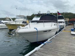 
										SEA RAY SUNDANCER 34 full									