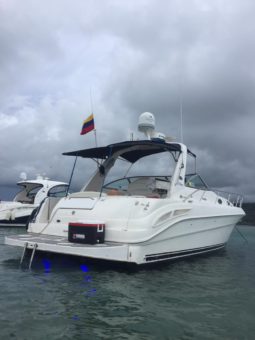 
										SEA RAY SUNDANCER 34 full									