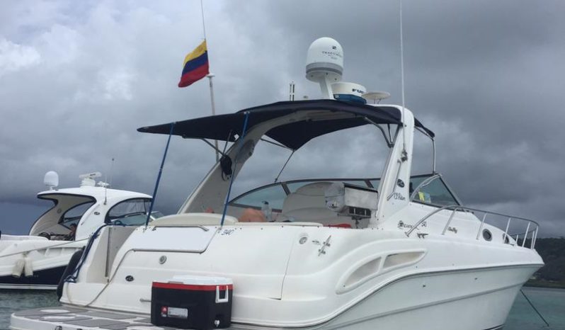 
								SEA RAY SUNDANCER 34 full									