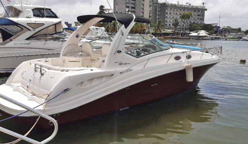 
								SEA RAY SUNDANCER 34 full									