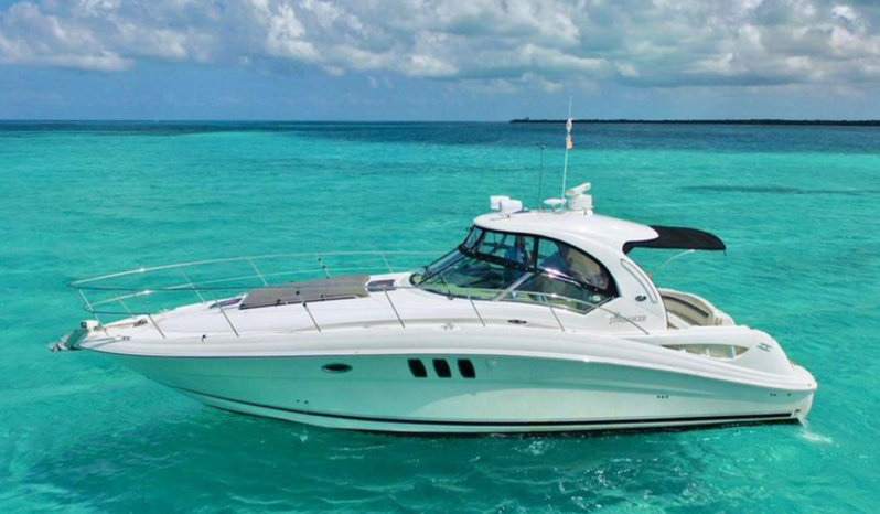 
								SEA RAY SUNDANCER 40 full									