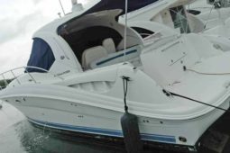 
										SEA RAY SUNDANCER 40 full									