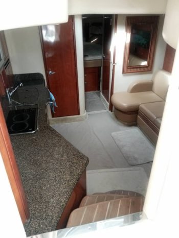 
								SEA RAY SUNDANCER 40 full									