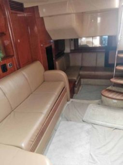 
										SEA RAY SUNDANCER 40 full									