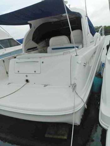 
								SEA RAY SUNDANCER 40 full									