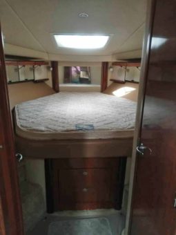 
										SEA RAY SUNDANCER 40 full									