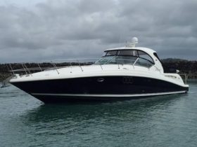 SEA RAY SUNDANCER 44