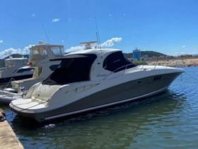 SEA RAY SUNDANCER 44