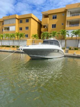 SEA RAY SUNDANCER 44